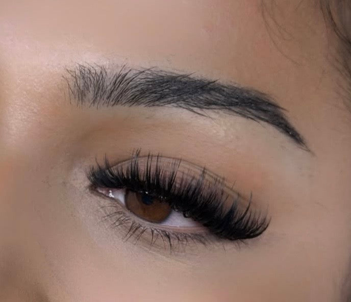 Luxe Lash Collection
